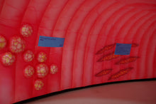 Load image into Gallery viewer, Large Inflatable Colon