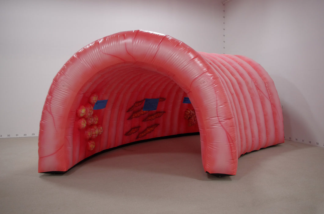Giant Inflatable Colon